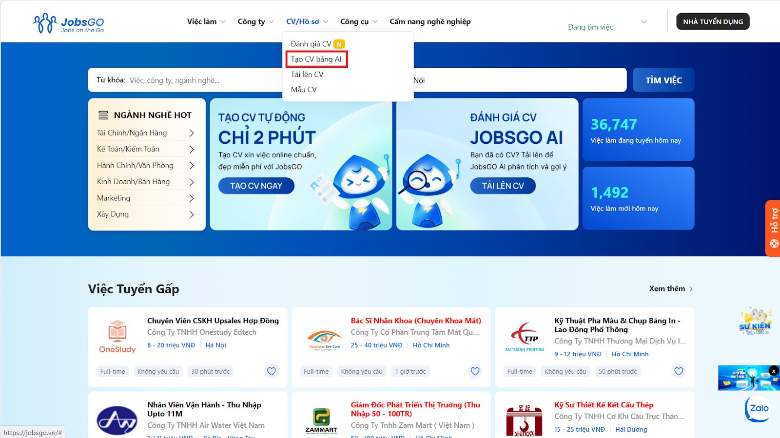 CV xin việc giáo viên mầm non - image 9