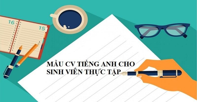 mẫu cv tiếng anh cho sinh viên thực tập