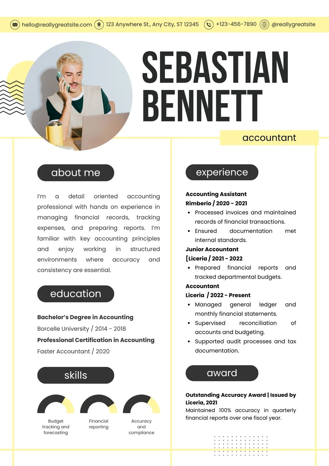 Mẫu CV kế toán - image 13