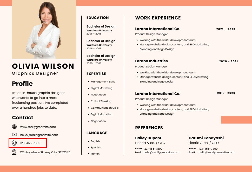 cách ghi số điện thoại trong CV - image 1