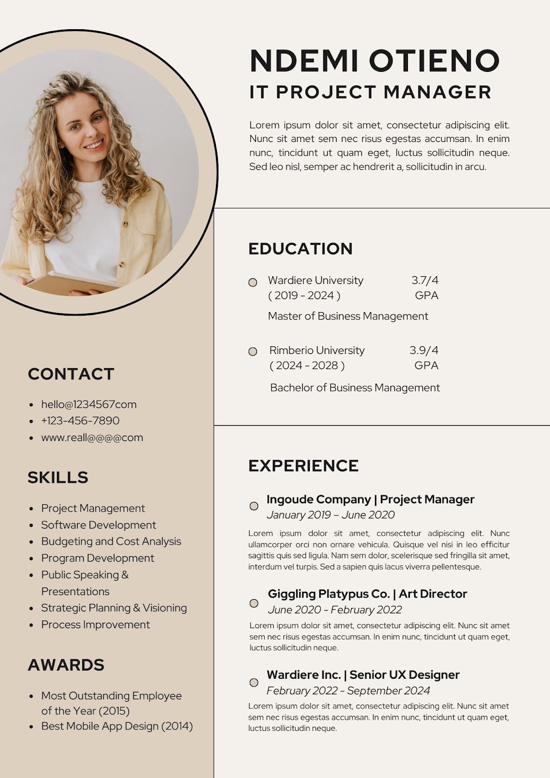 Mẫu CV IT - image 17