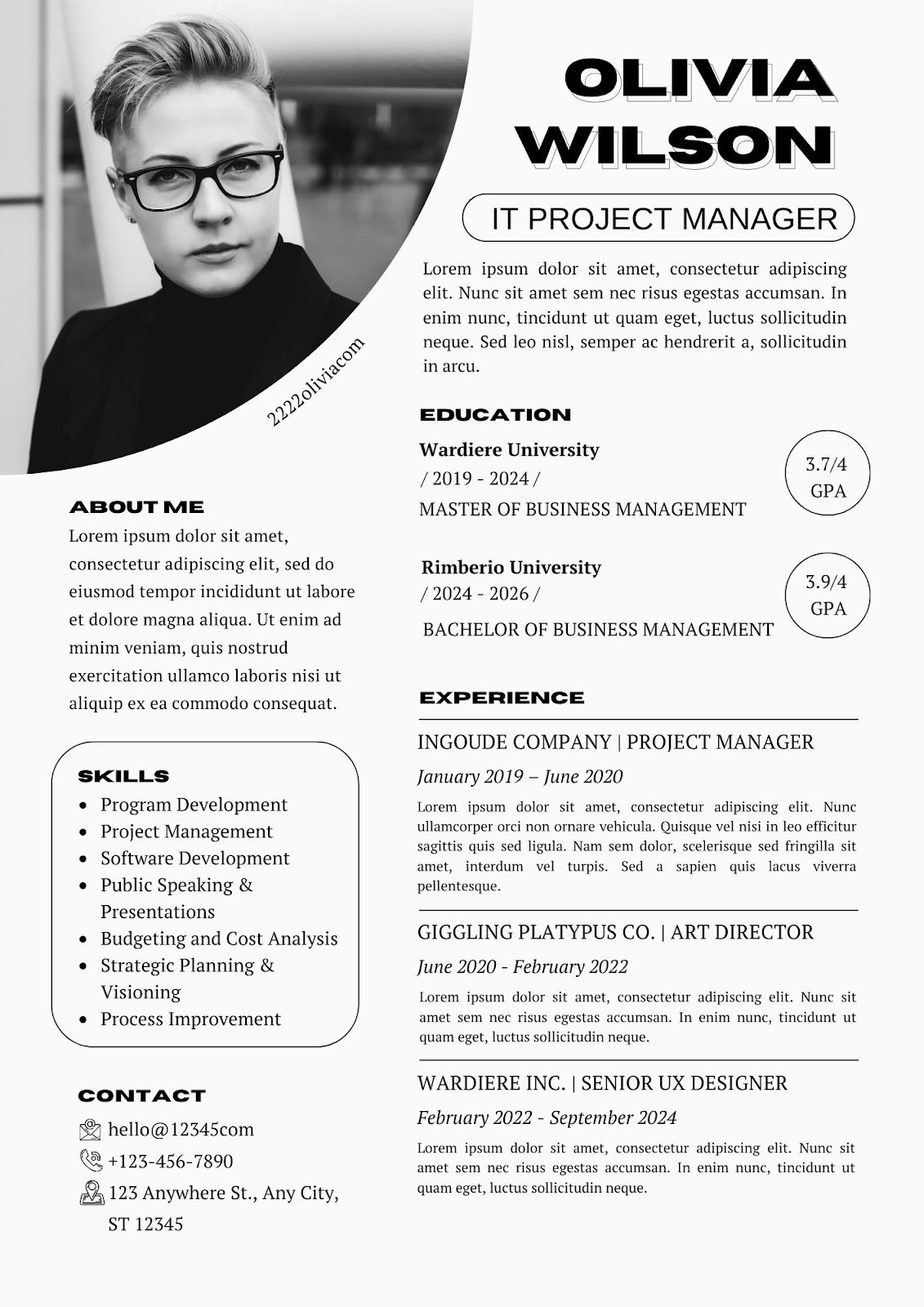 Mẫu CV IT - image 19