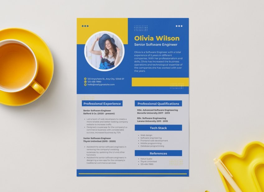 Mẫu CV IT - image 4