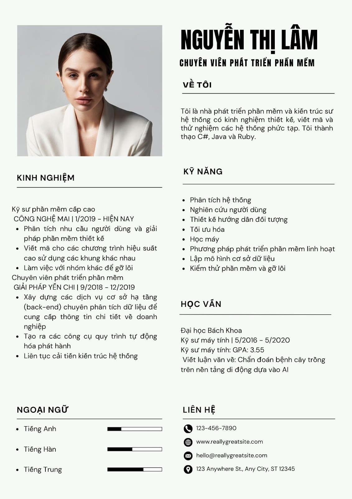 Mẫu CV IT - image 4