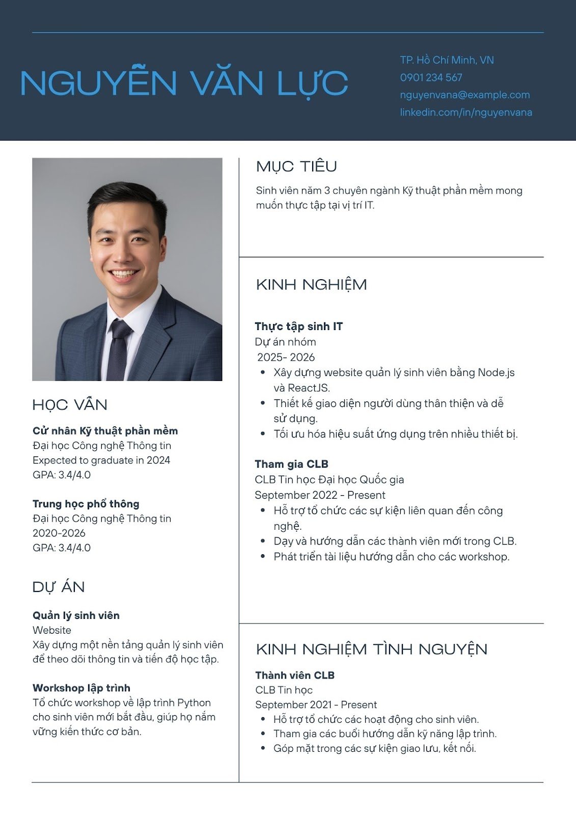 Mẫu CV IT - image 9