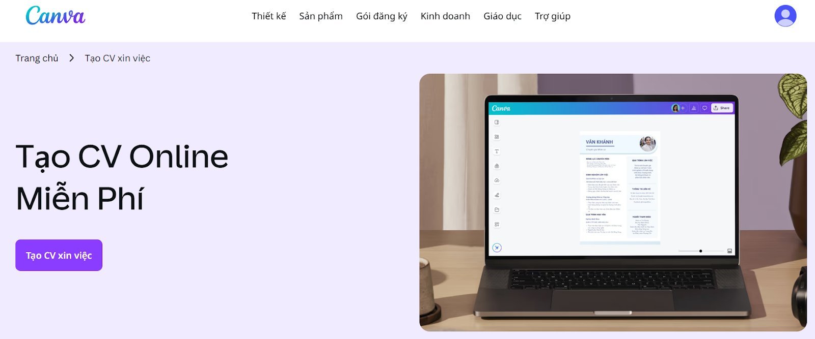 website thiết kế CV - image 2