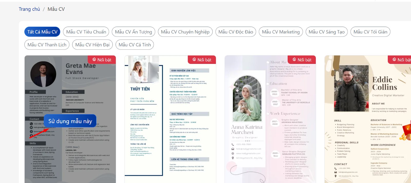 Mẫu CV nhân viên kinh doanh - image 24