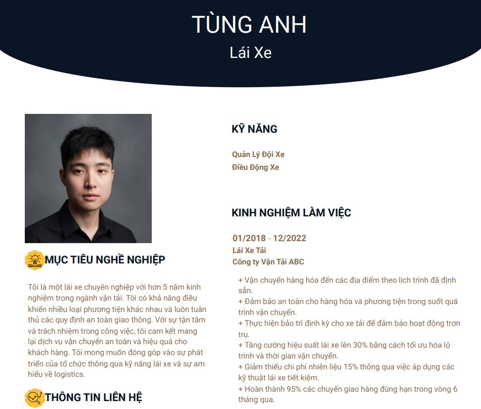 mẫu cv xin việc lái xe - image 11